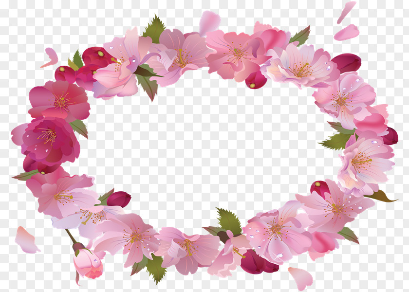Flower GIMP Photography Floral Design PNG