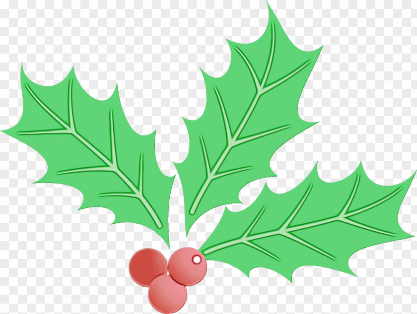 Flower Plane Holly PNG