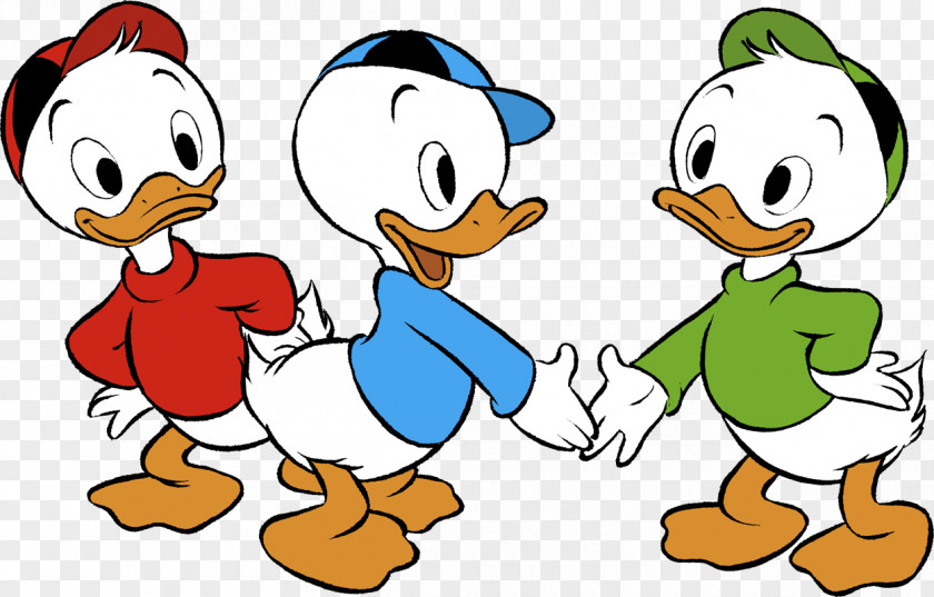 Huey Dewey And Louie Huey, Donald Duck Scrooge McDuck Daisy Gladstone Gander PNG