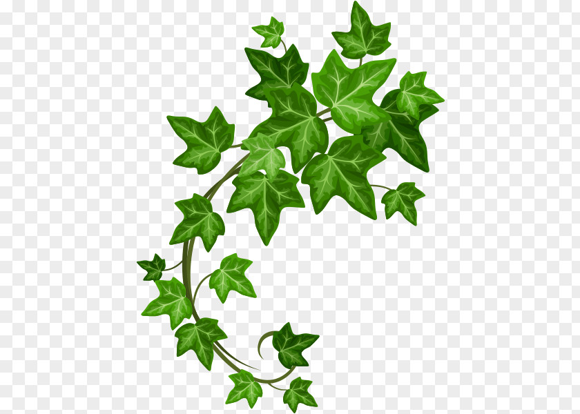 Ivy Hand Made Royalty-free PNG