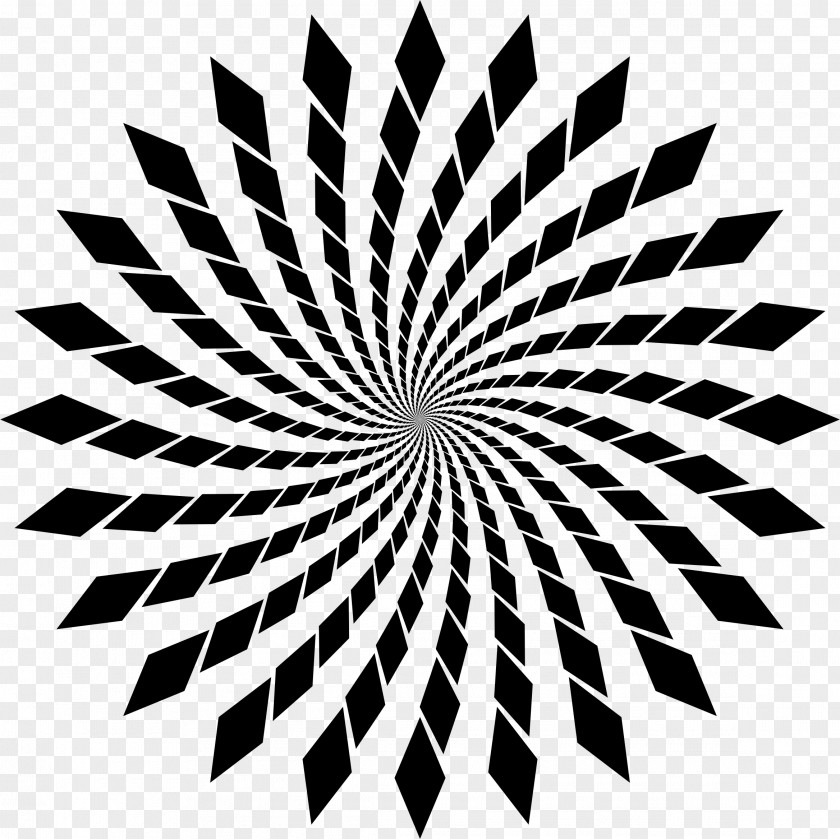 Circle Pattern Optical Illusion Fraser Spiral Spin Mind PNG