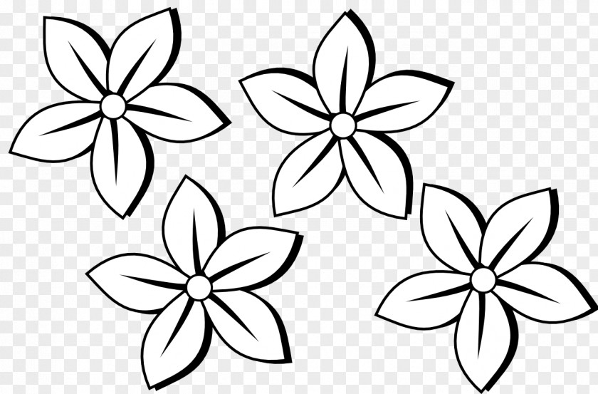 Flowers Line Drawing Flower Black And White Clip Art PNG