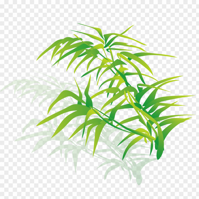 Fresh Tender Grass Illustration PNG