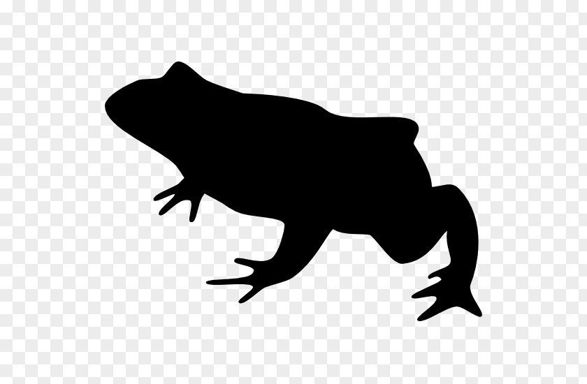 Frog Silhouette Toad PNG