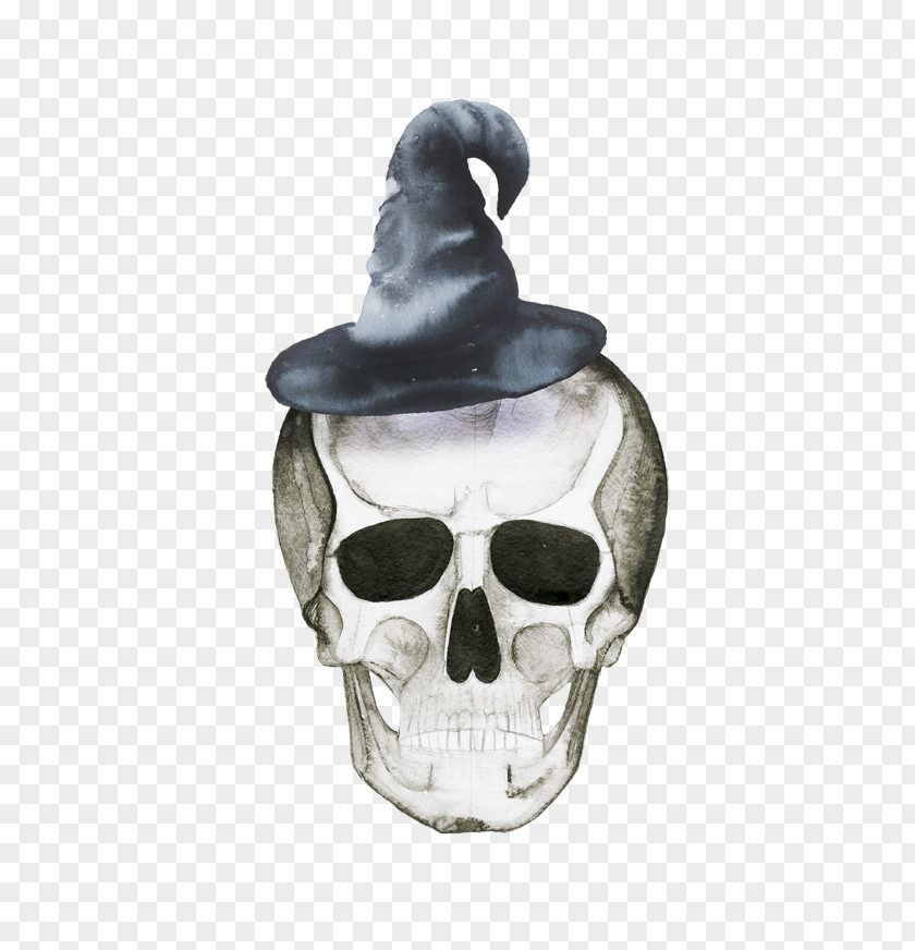 Halloween Skull Calavera PNG