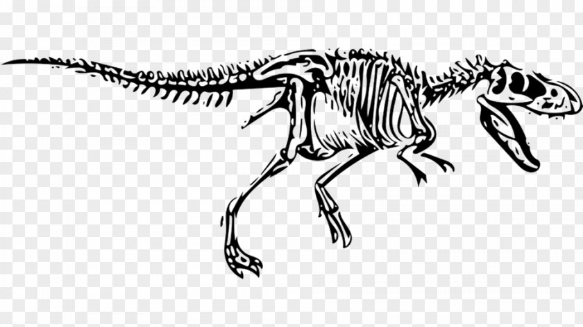 Tyrannosaurus Velociraptor Dinosaur Allosaurus PNG