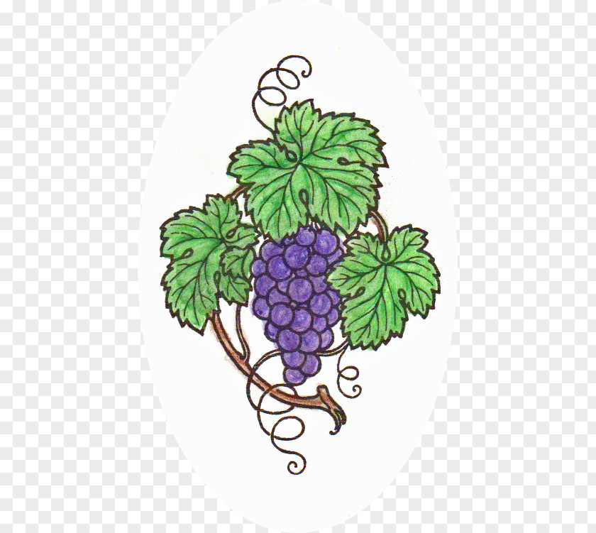 CHALK Pencil Grape Flowerpot Vine Tree PNG
