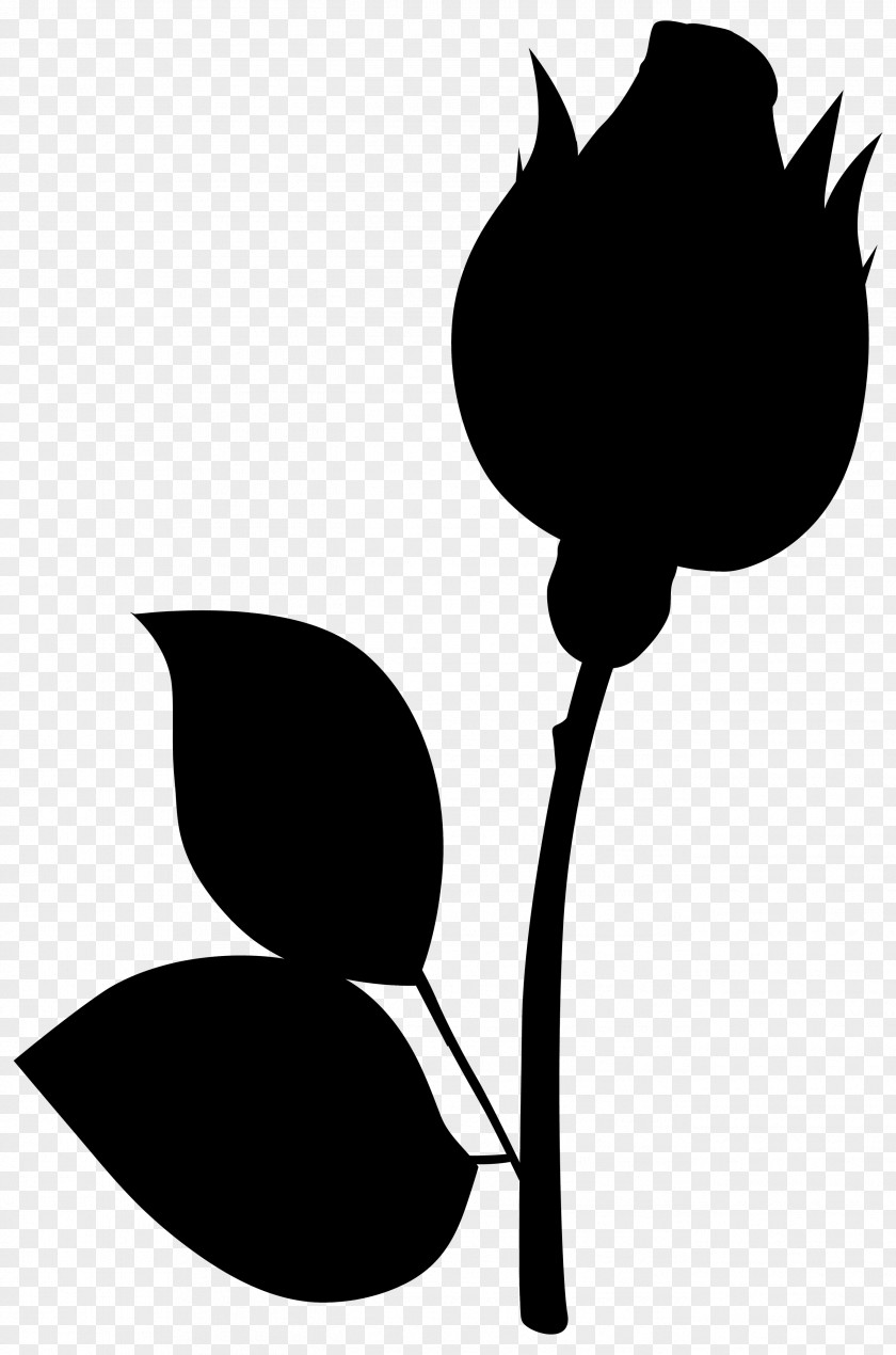 Clip Art Plant Stem Flower Leaf Plants PNG