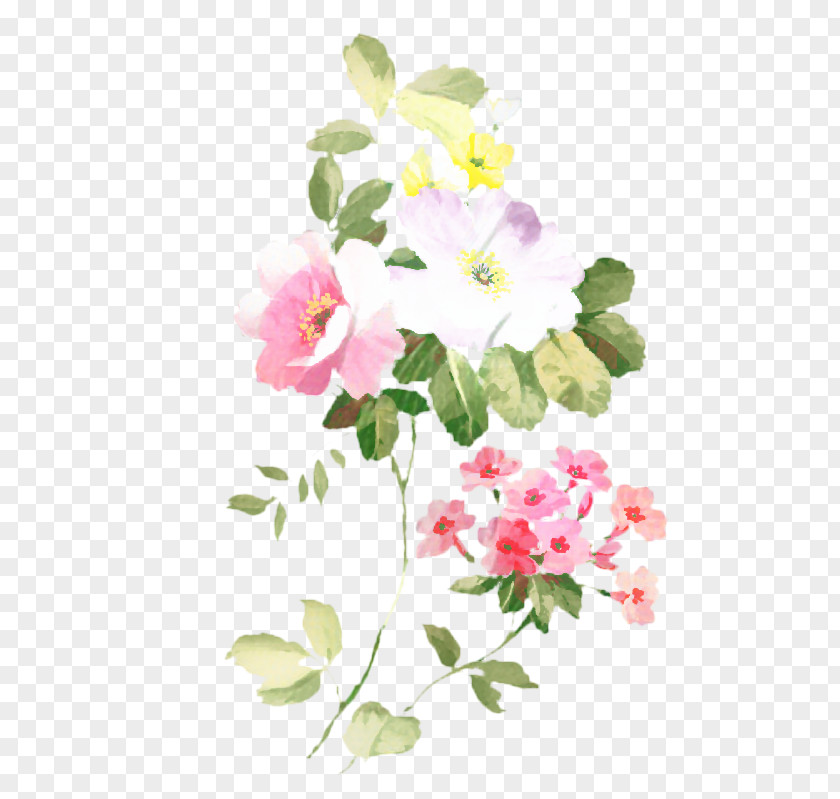 Camellia Chinese Peony Watercolor Pink Flowers PNG
