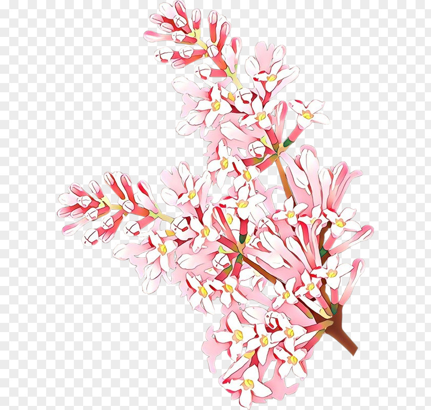 Flowering Plant Twig Pink Flower Cut Flowers PNG