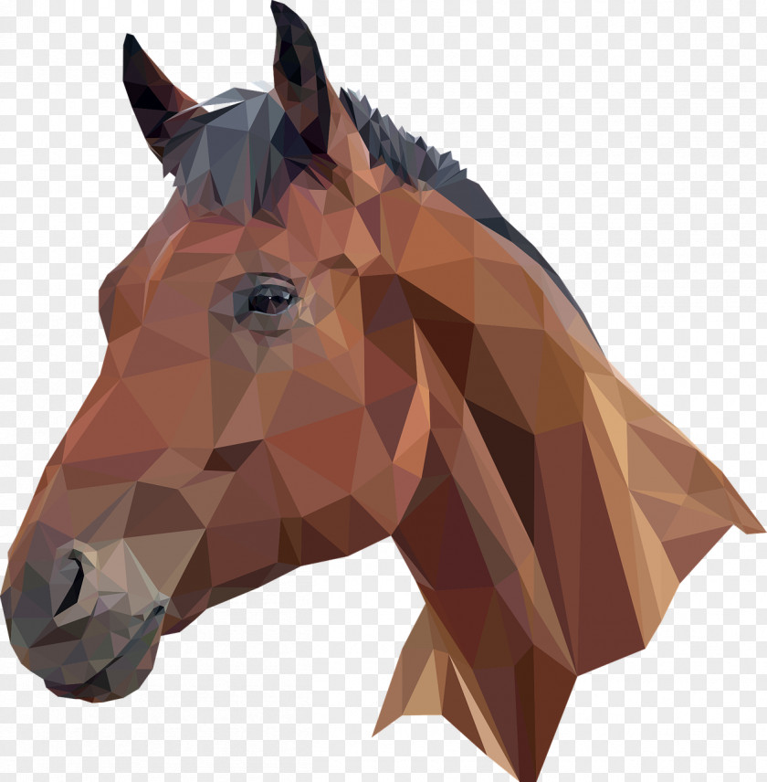 Free Horse Head Mask Clip Art Arabian Image PNG