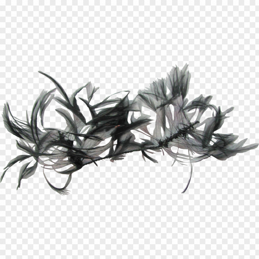 Black Feather Desktop Wallpaper Pastebin.com PNG