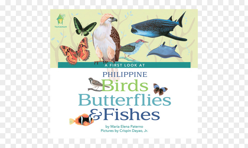 Book A First Look At Philippine Fruits Birds Publishing Philippines PNG