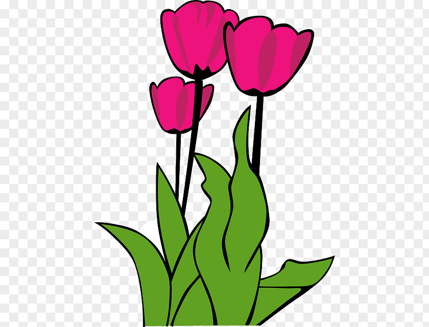 Bunga Raya Tulip Clip Art PNG