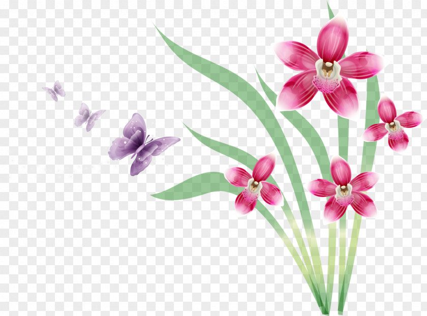 Flower Drawing Butterfly Orchids PNG
