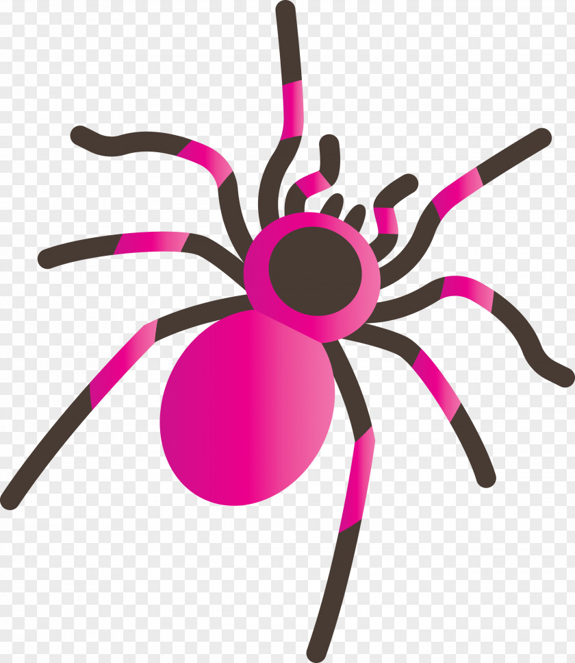 Insect Line PNG