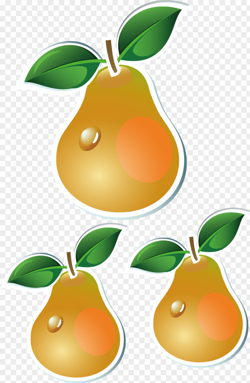 Pear Vector Apple Orange Clip Art PNG