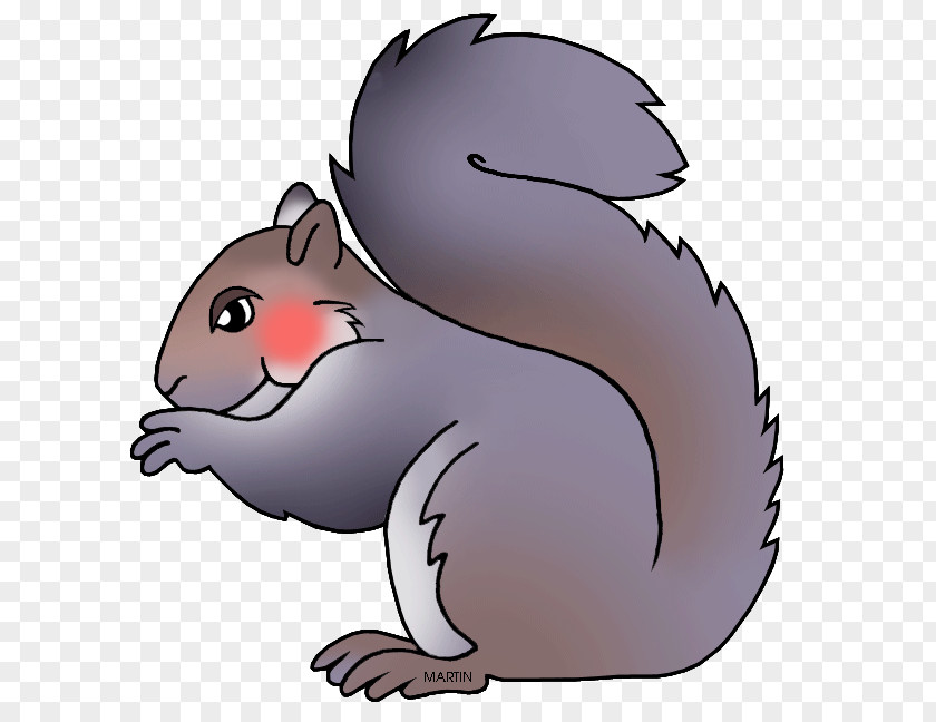 Squirrel Eastern Gray Rodent North Carolina Clip Art PNG