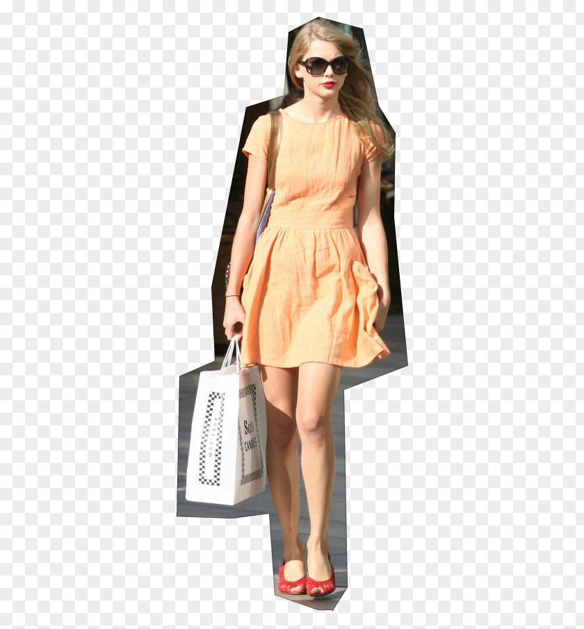 Taylor Swift Love Story Fashion Clothing Cocktail Dress Shorts PNG