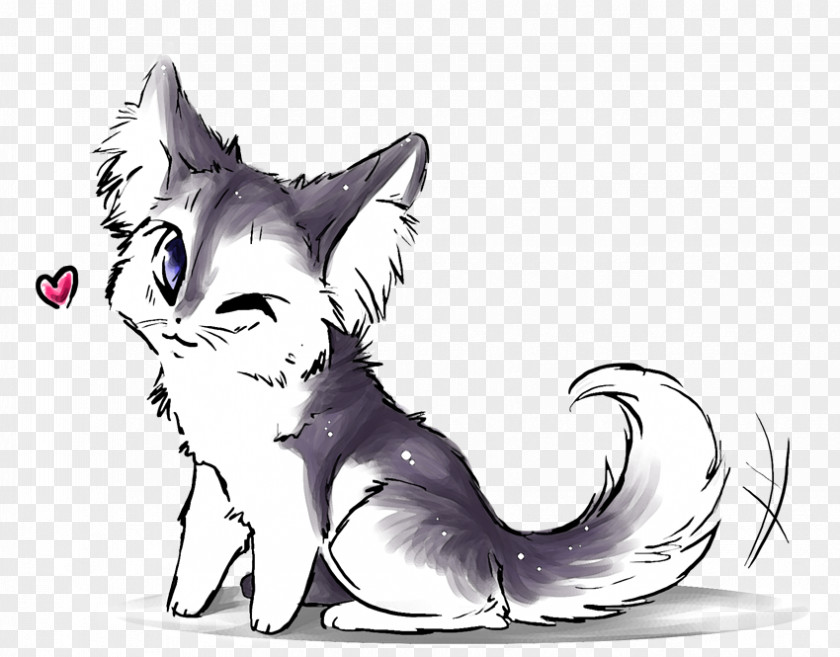 Kitten Whiskers Cat Drawing Sketch PNG