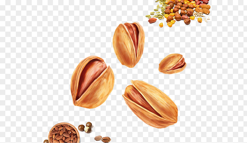 Nuts And Pistachios Pistachio Walnut Food PNG