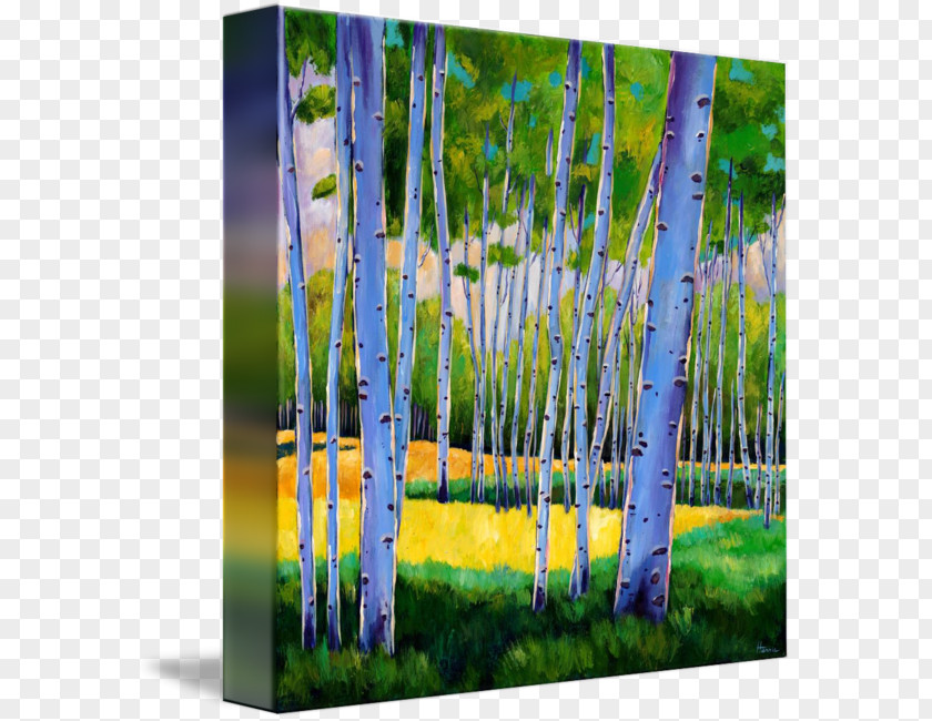 Tree Aspen Canvas Print Art PNG