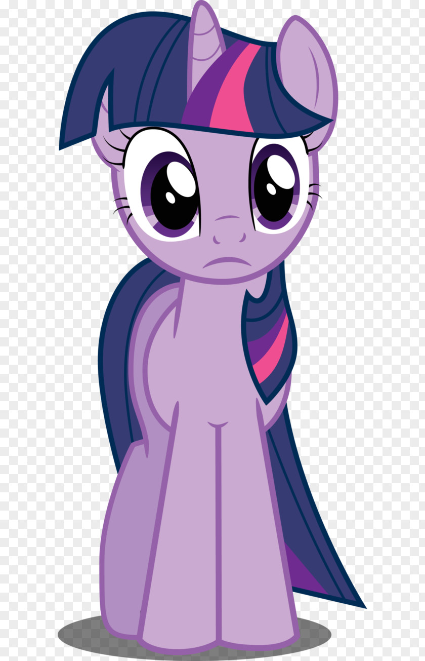 Twilight Sparkle Pinkie Pie Rainbow Dash Rarity Applejack PNG