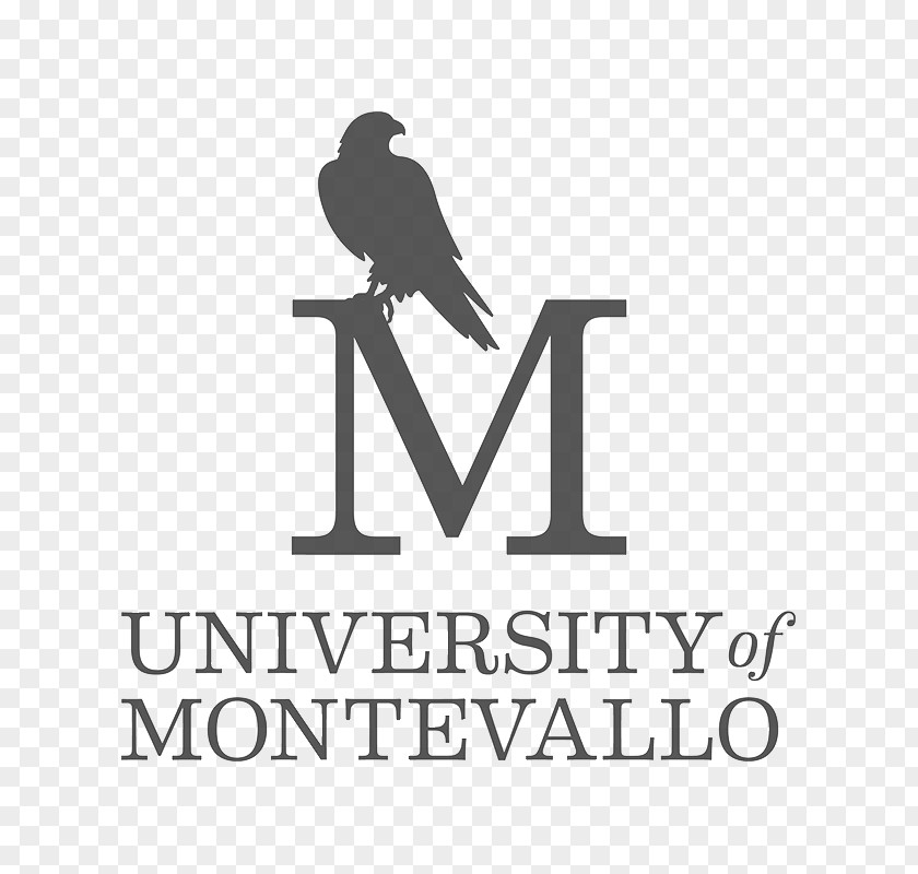 University Of Miami Logo Montevallo Gothenburg Brand Beak PNG