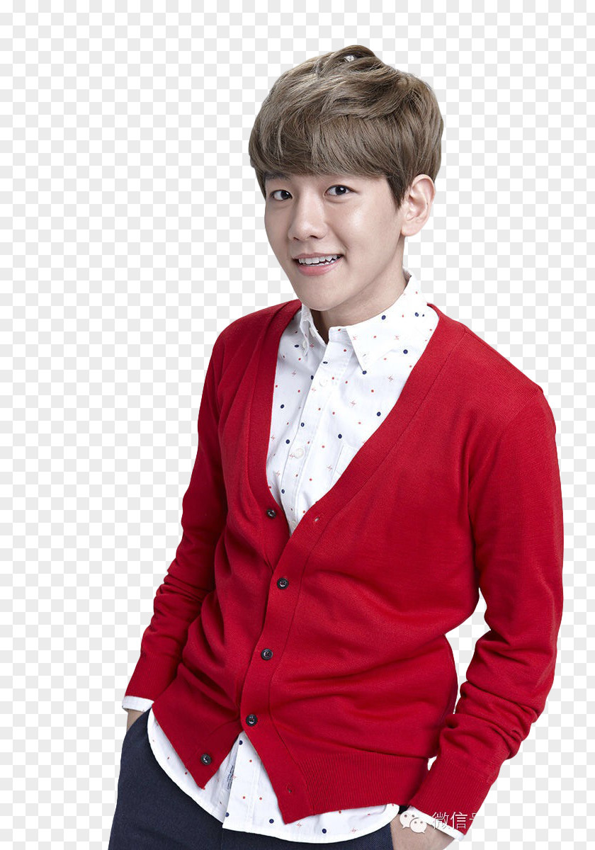 Baekhyun Illustration EXO-K K-pop Image PNG