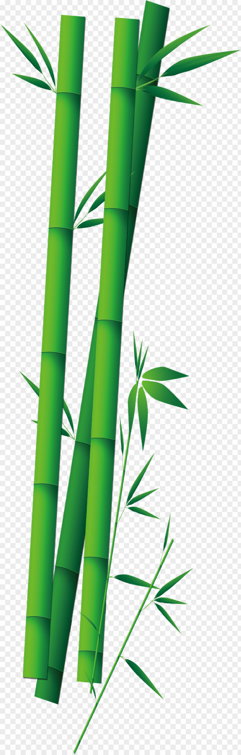 Bamboo Zongzi PNG