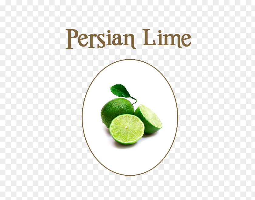 Lime Limeade Atchara Fruit Food PNG