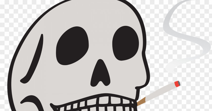 Nose Skull Bone Head Face PNG