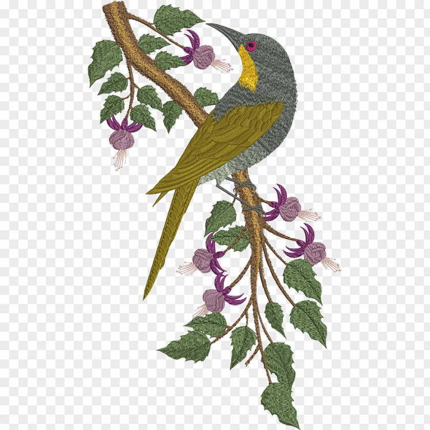 Parrot Bird Embroidery Beak PNG