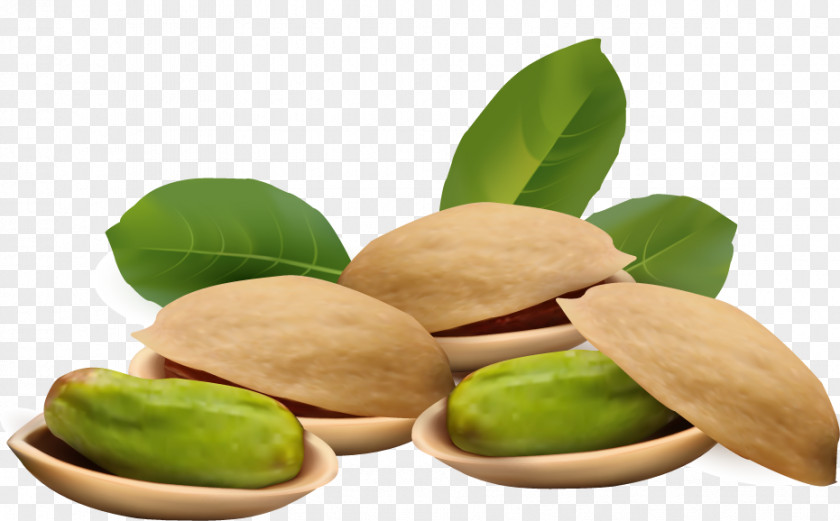 Pistachios Pistachio Ice Cream Nucule Clip Art PNG