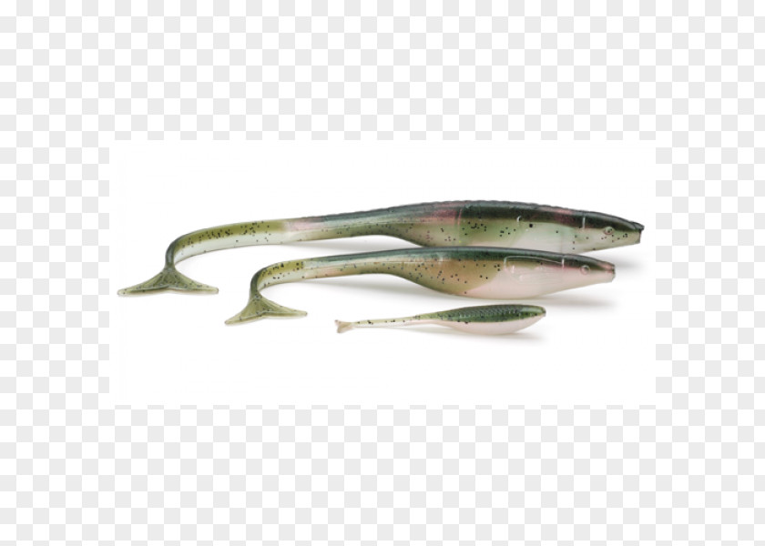 Rainbow Trout Spoon Lure V-tail Rudolfstetten-Friedlisberg Bait Fish Information PNG