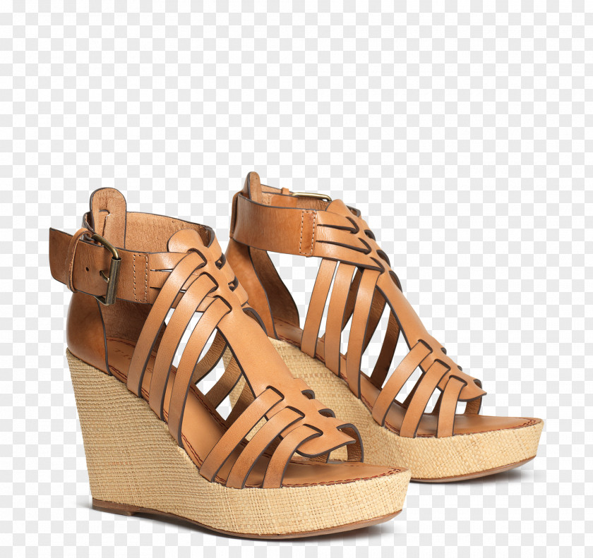 Sandal Shoe Product PNG