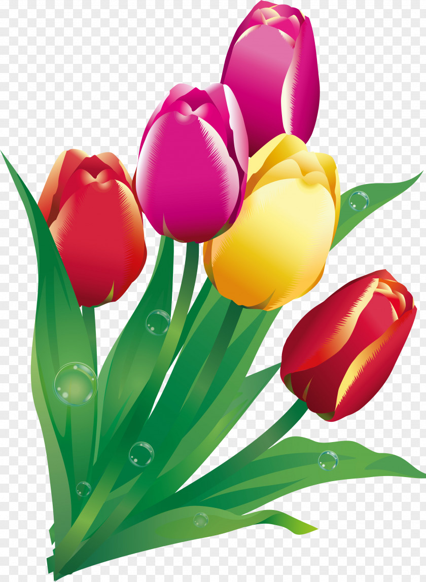 Tulip Easter Bunny Flower Christmas Clip Art PNG
