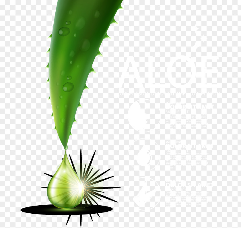 Aloe Vera Skin Care Ad Element Leaf Liquid Green Drop PNG