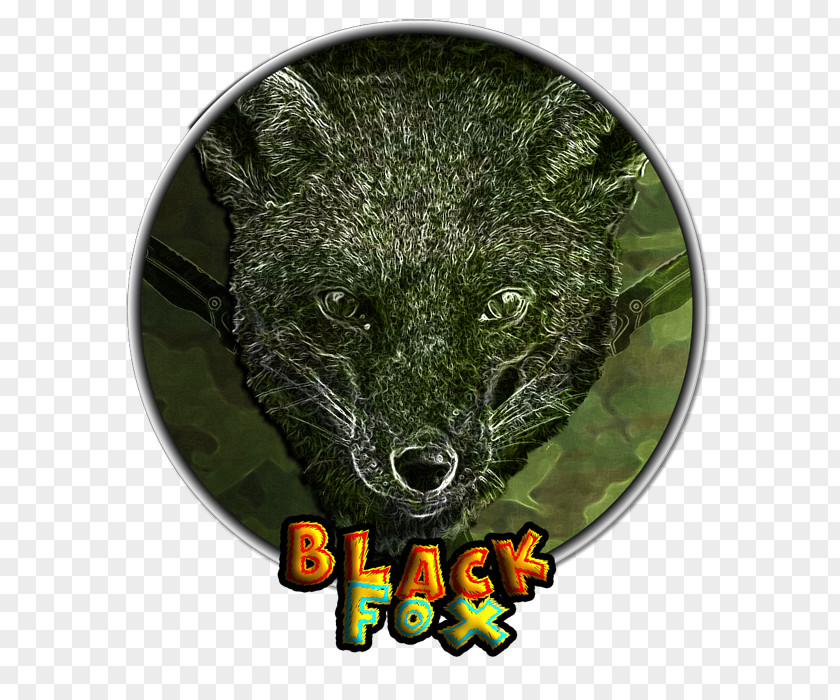 Black Fox Canidae Dog Fauna Wildlife Snout PNG