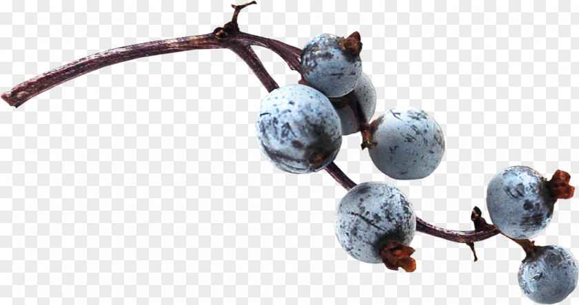 Blueberry PNG