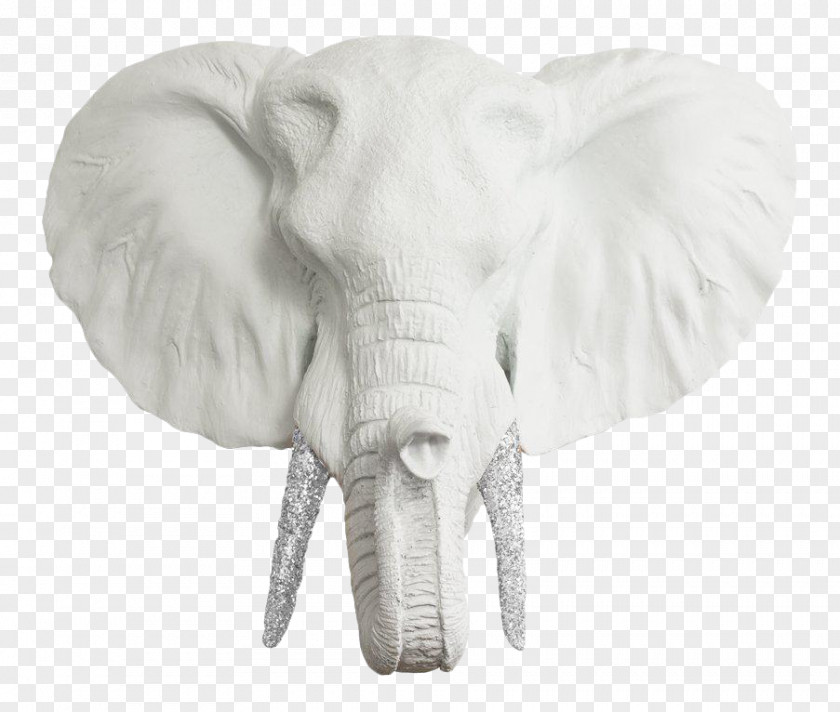 Elephants African Elephant Indian Rhinoceros Tusk PNG