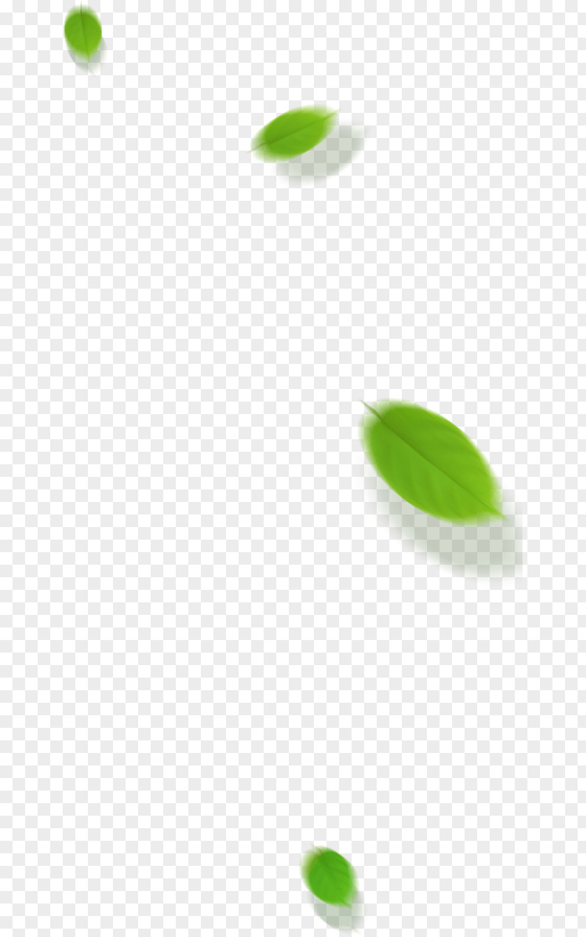 Floating Leaves PNG leaves clipart PNG