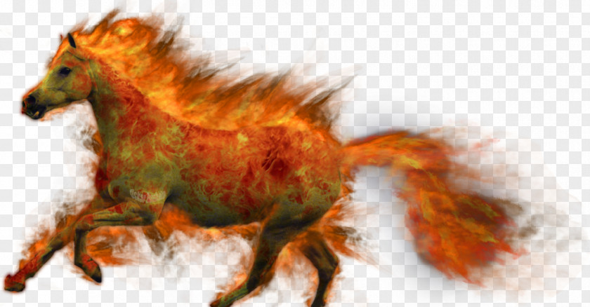 Mustang Pony Desktop Wallpaper Fire PNG