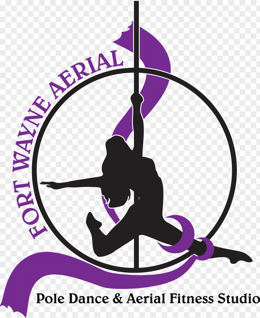 POLE ART STUDIO / Pole Dance Poltava , Stretching Aerial Silk Kids PNG