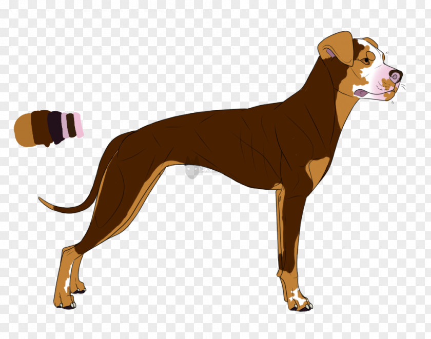 Bred Pit Dog Breed Italian Greyhound Azawakh Longdog PNG