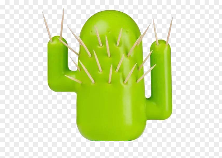 Cactus Toothpick Box Caatinga Cactaceae Kitchen Utensil PNG