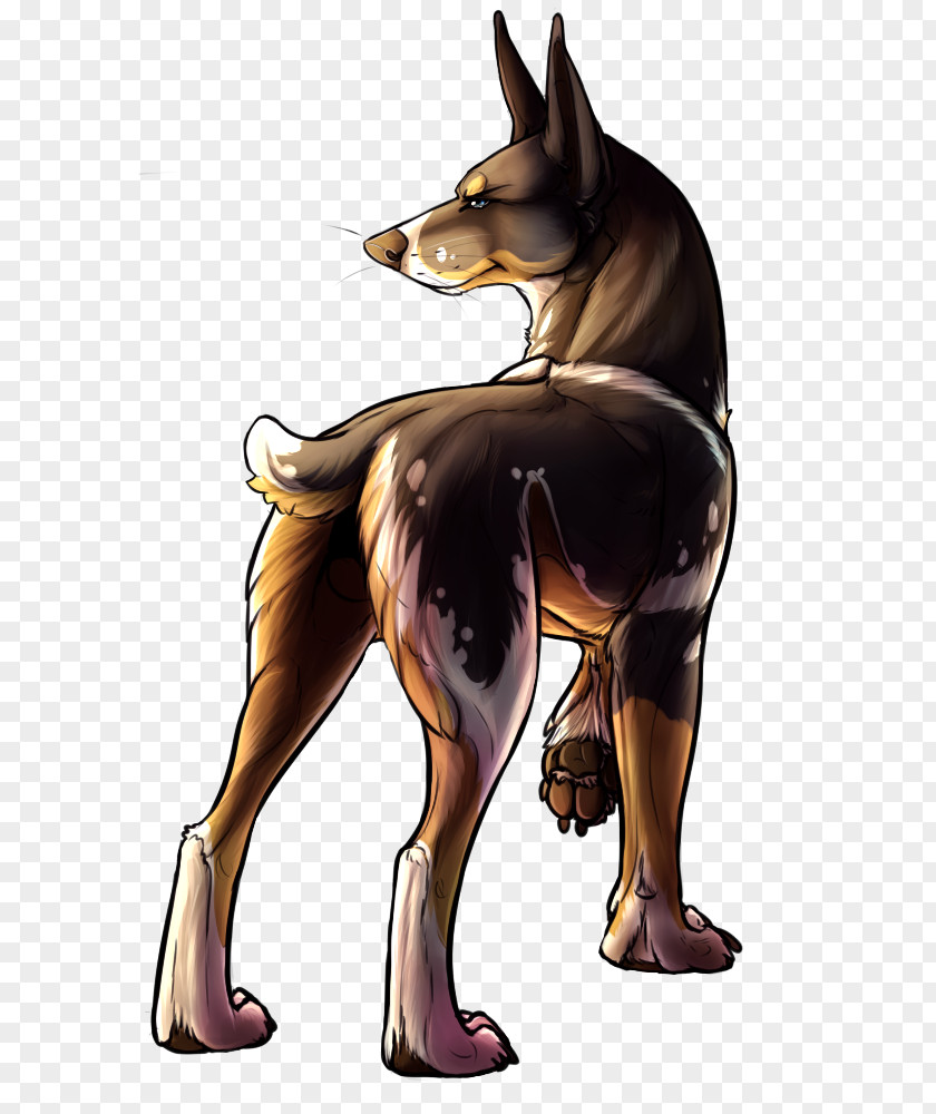 Dog Breed Illustration Cartoon Muscle PNG