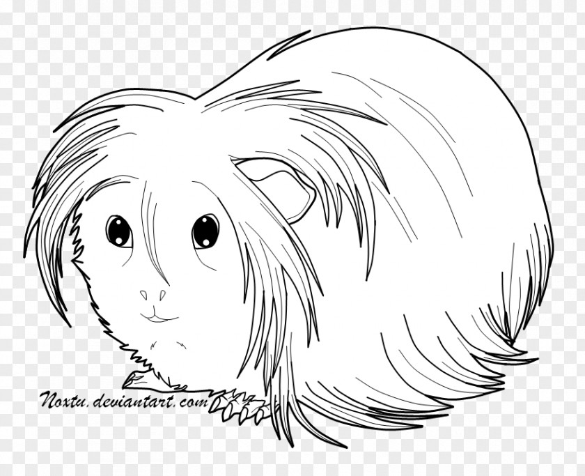 Guinea Pig Drawing SafeSearch Monochrome Photography PNG