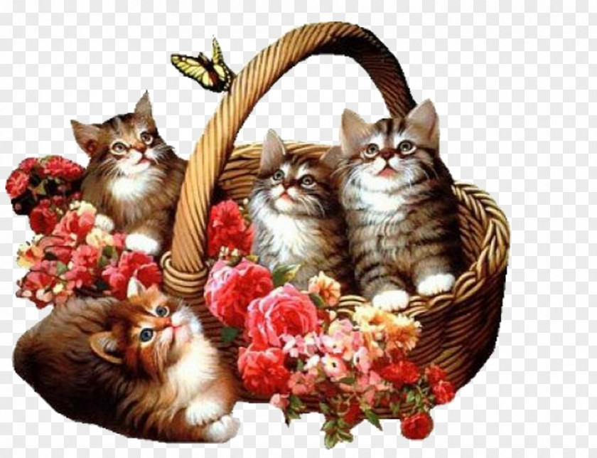 Litter Of Kittens Kitten Flower Blue Rose Animation PNG