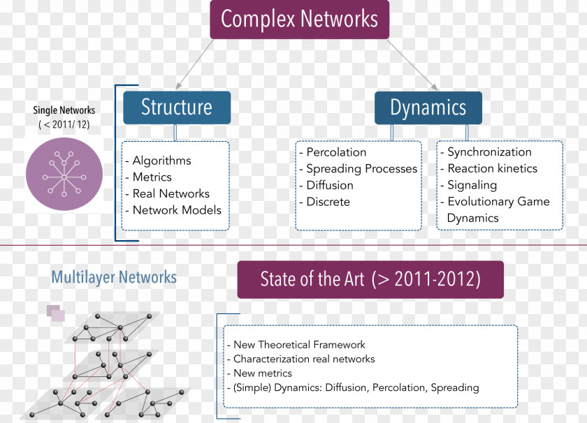 Purple Brand Organization Diagram PNG